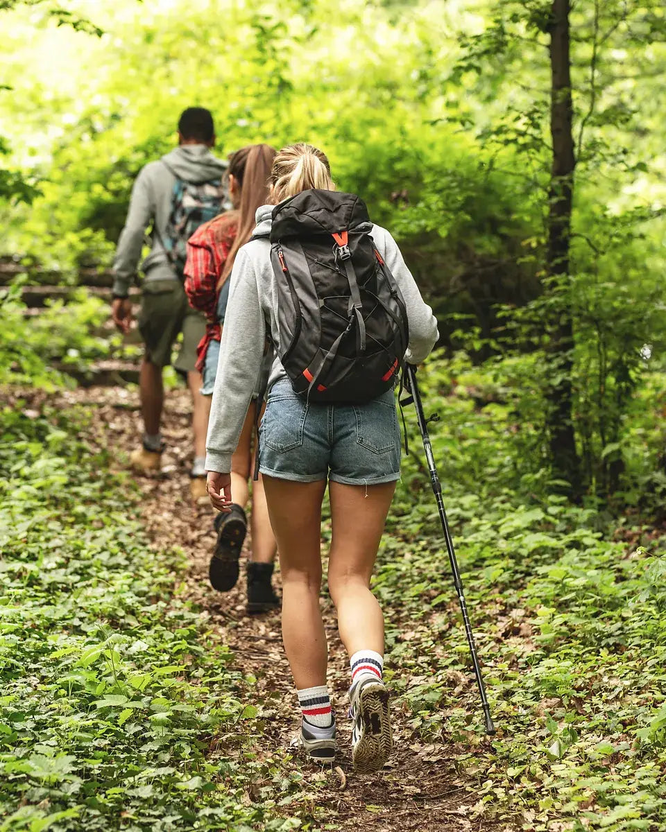 Two hikers walking a forest trail